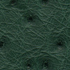 Green Ostrich (Зеленый страус)